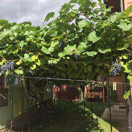 Базилік Hotel Yaremche Bagian luar foto