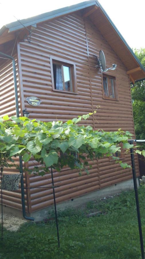 Базилік Hotel Yaremche Bagian luar foto