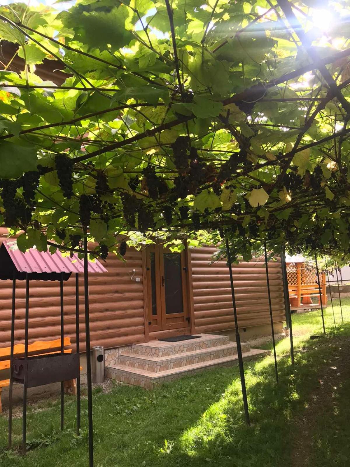 Базилік Hotel Yaremche Bagian luar foto