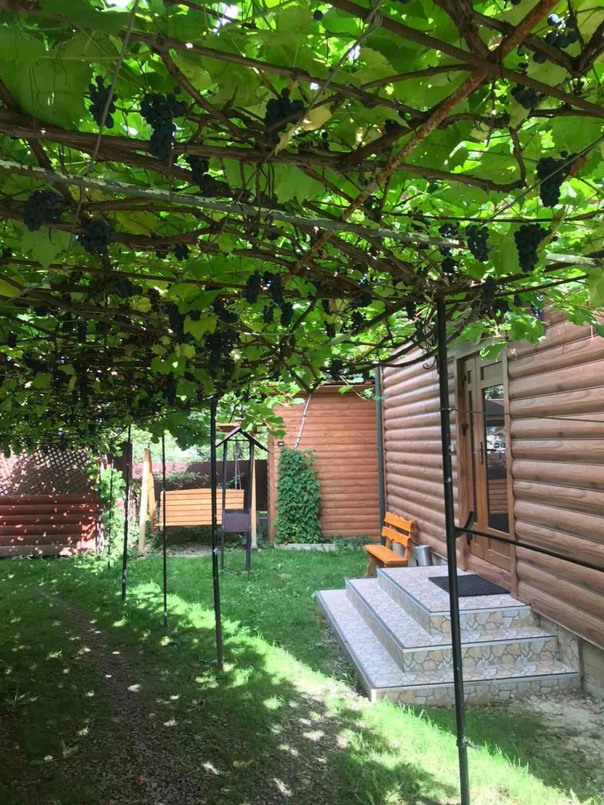 Базилік Hotel Yaremche Bagian luar foto